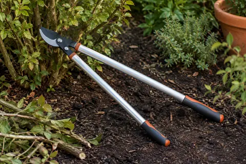 Coupe-branches Fishtec à long manche posé près d’un arbuste taillé dans un jardin