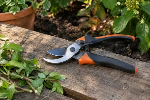 Sécateur Fiskars à lames franches en acier, posé près de pousses vertes sur du bois patiné