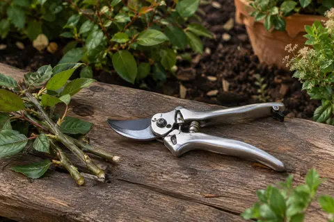Sécateur à lame franche en aluminium posé sur du bois patiné près de rameaux fraîchement coupés