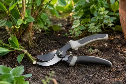 Sécateur à lames bypass posé près d’une jeune pousse verte dans un jardin