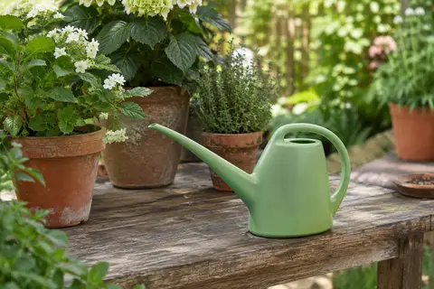 Arrosoir vert clair à bec long posé près de plantes en pot dans un jardin lumineux