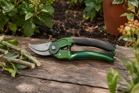 Sécateur de jardin vert à enclume et cliquet posé sur du bois patiné près de branches taillées