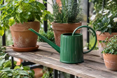 Arrosoir vert en acier galvanisé à bec long posé près de plantes en pot sur un balcon
