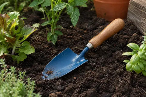 Truelle de jardin à tête bleue en acier au carbone et manche en bois dur, posée près de jeunes plants.