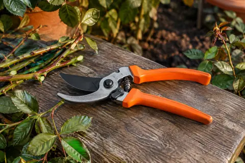 Sécateur bypass Votrek à poignées orange et lame en acier, posé près de rameaux taillés au jardin.