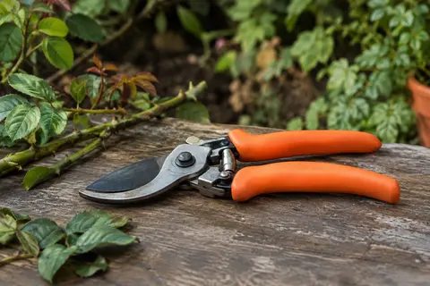 Sécateur bypass orange à poignée réglable posé sur du bois patiné près de rameaux et de feuilles vertes.
